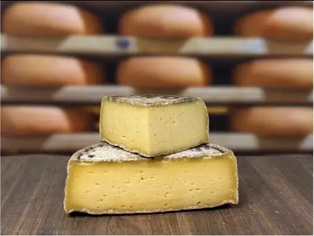 Tomme de Savoie IGP