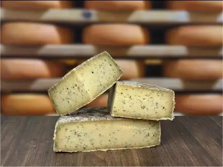 Tomme à l'ail des ours