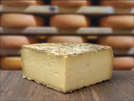 Tomme de montagne