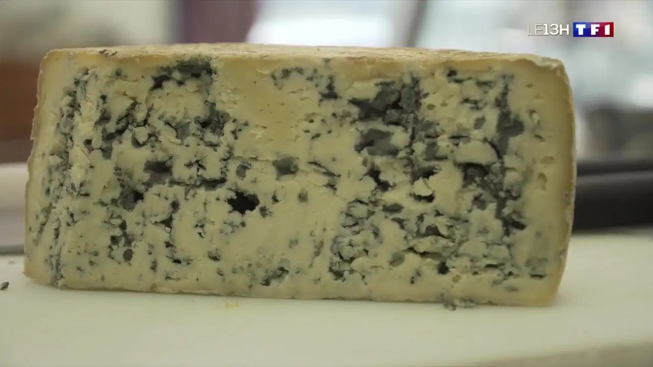 Bleu du Queyras
